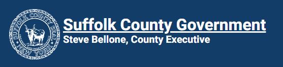 suffolk county government website impacted by cyber attack